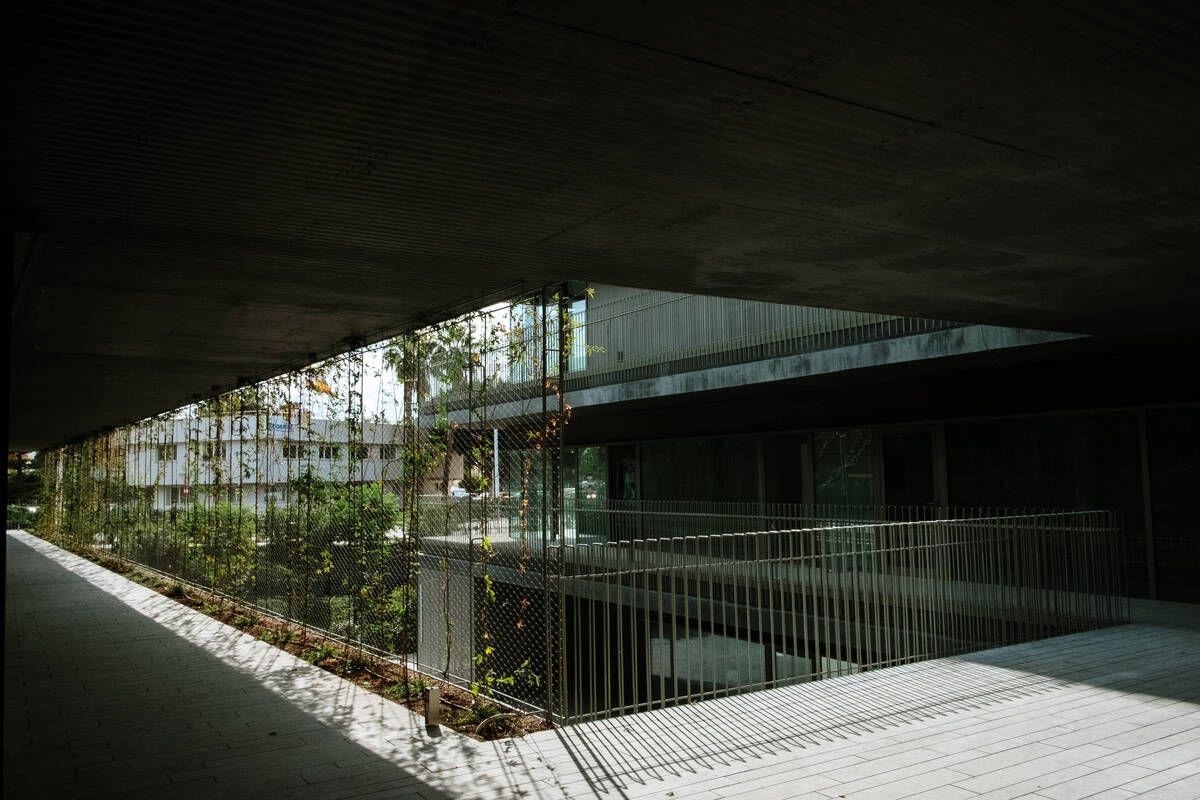 251010DMA_Bernardo A (225269589).jpg