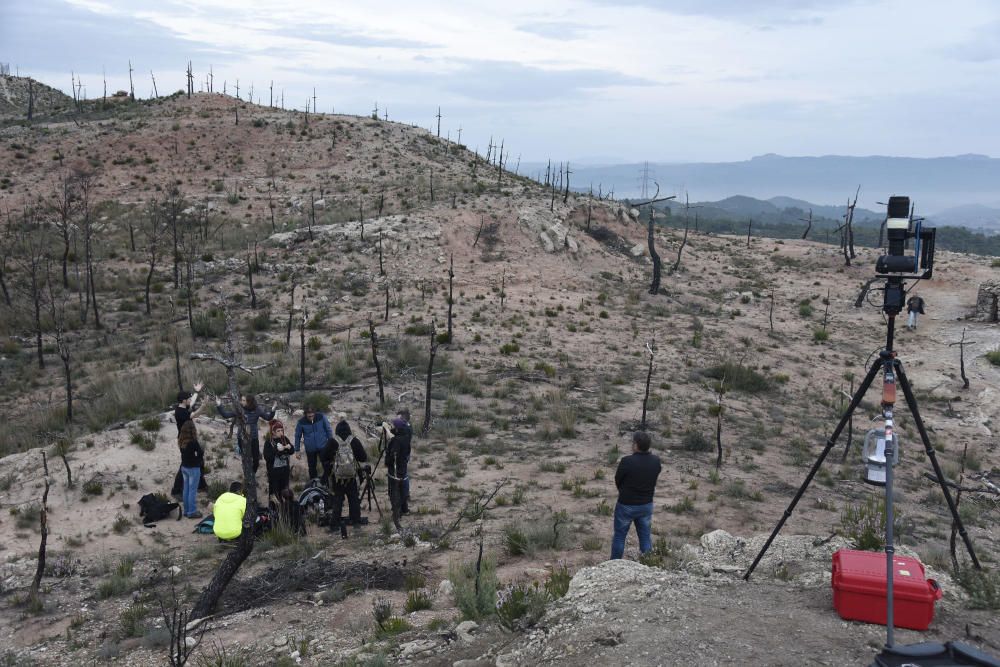 Preparatius per una gigafoto de rècord al bosc de les creus