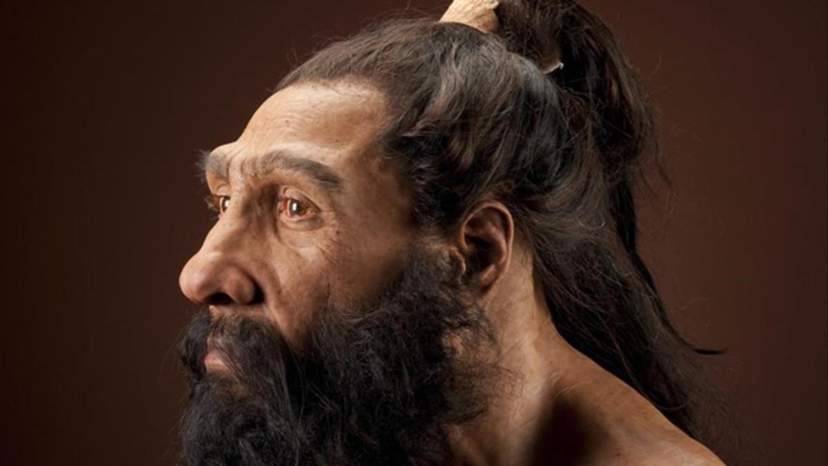 amadridejos14818068 homo neanderthalensis adult male   reconstruction 160411120930