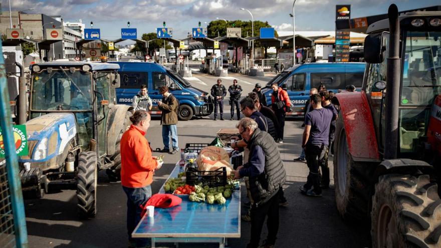 Europa lanza un plan para reducir la carga administrativa de los agricultores