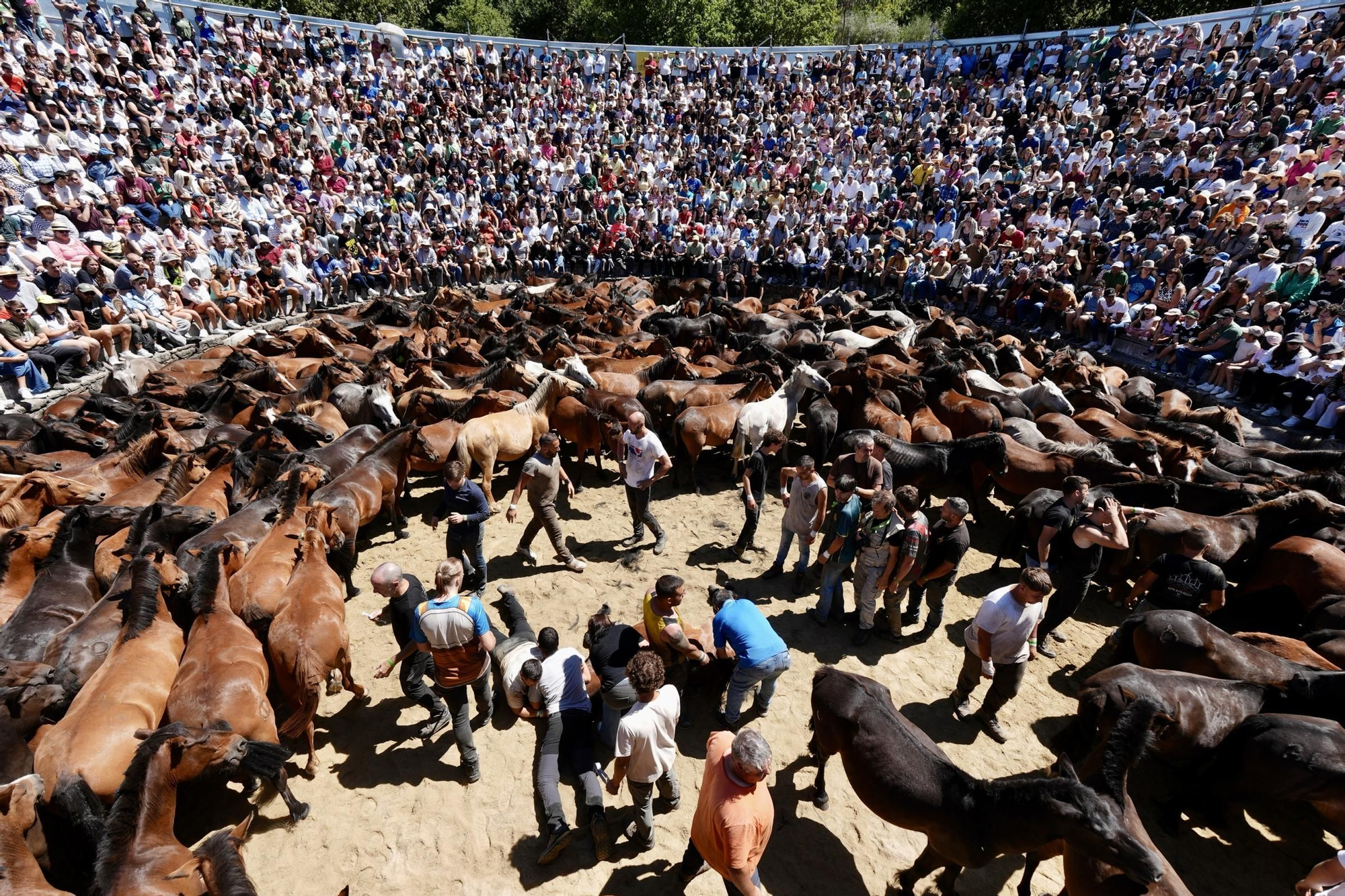 Las espectaculares imágenes que nos deja este lunes de Rapa que se despide con lleno y 160 medios acreditados de 13 países