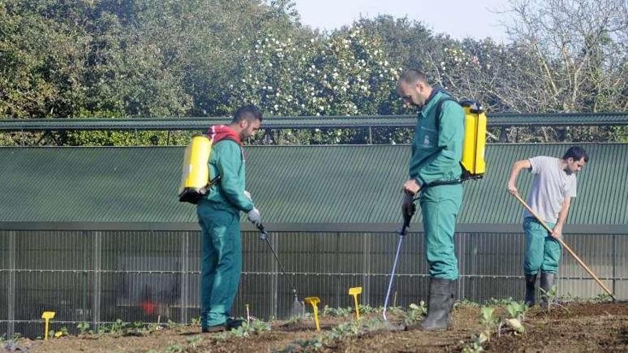 Alumnos del primer Obradoiro de agricultura ecológica. // Noé Parga