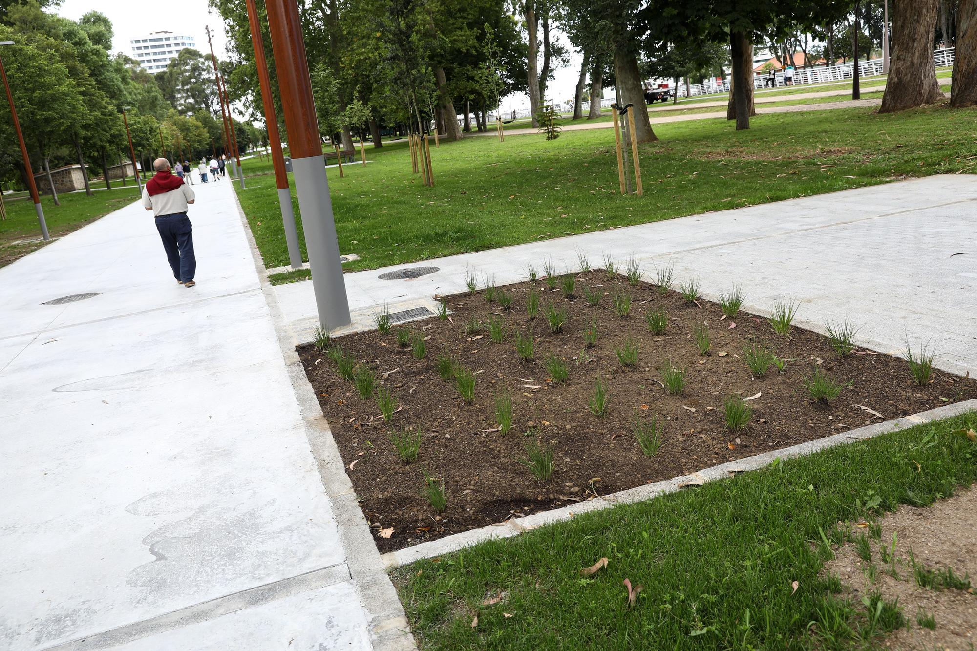 Reapertura de la avenida del Molinón, ya peatonal