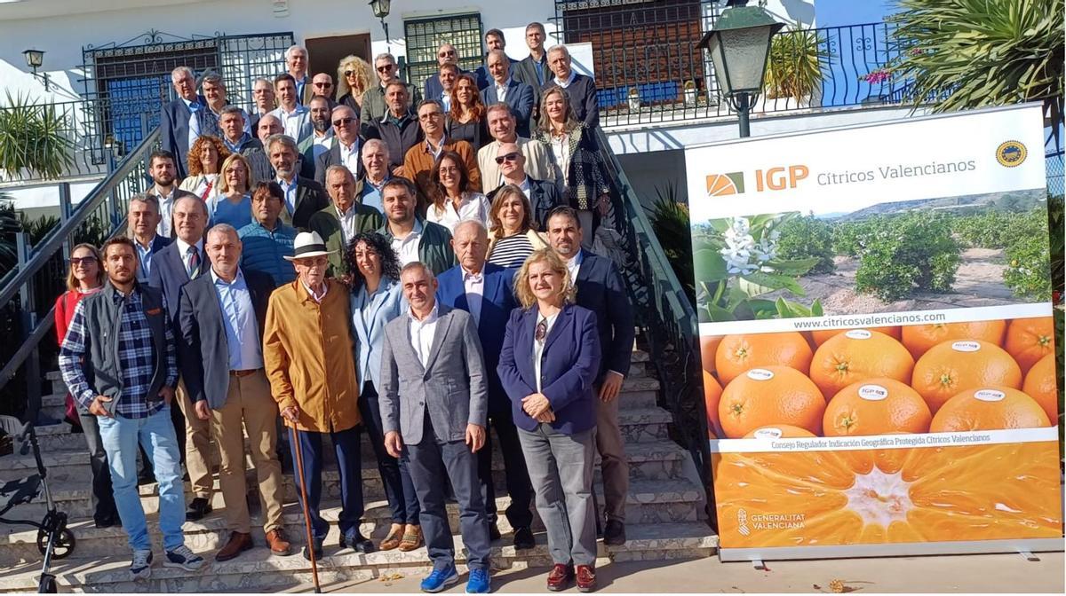 Foto de representantes del sector citrícola valenciano, en  una explotación naranjera de Tavernes de Valldigna.