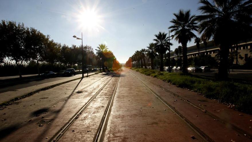 Avenida Antonio Ferrandis de València donde se produjo la agresión.