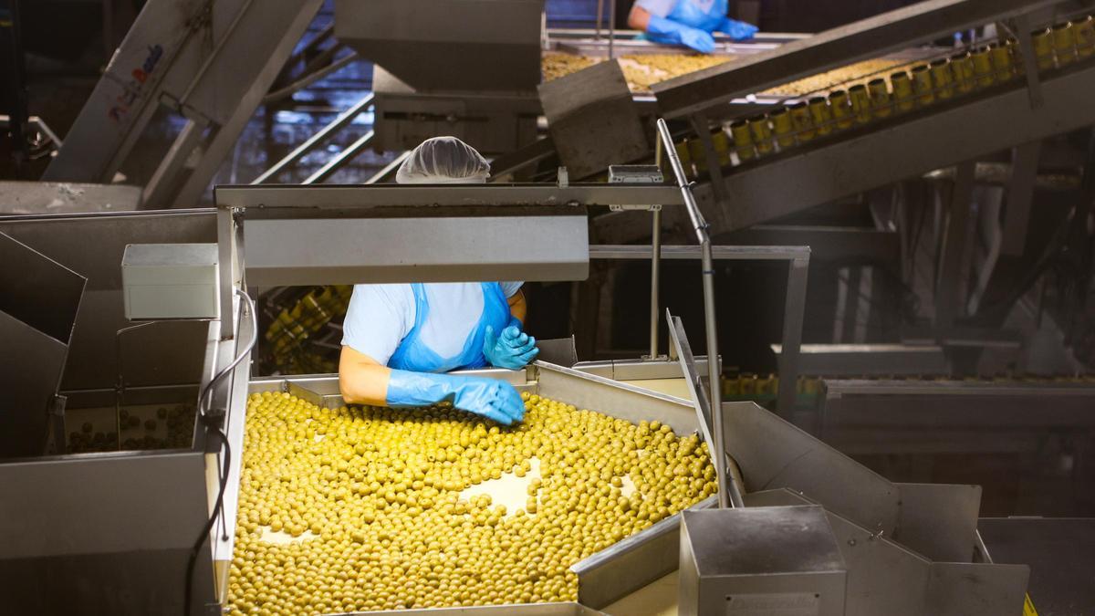 Interior de la fábrica de Aceitunas Serpis en Alcoy.
