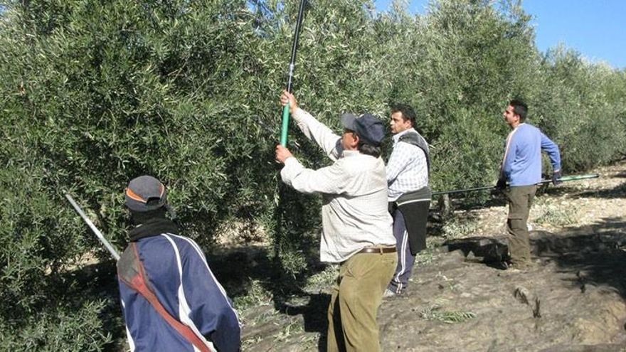 La reforma del régimen especial agrario supera su último trámite