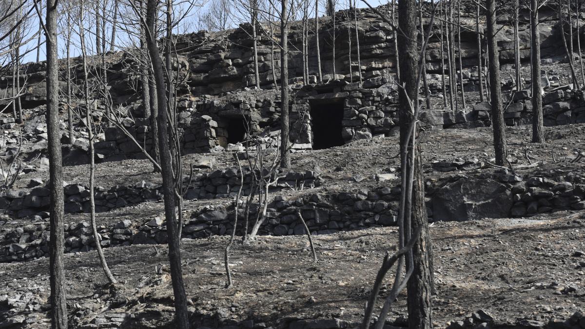 Així ha afectat el foc l'entorn de les tines de la Vall del Flequer