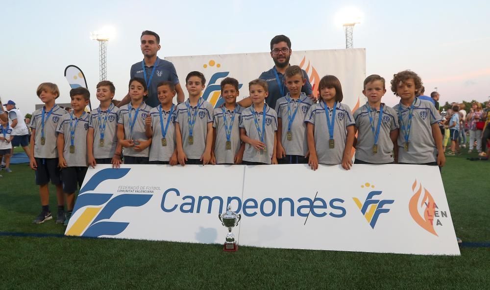 Campeones futbol 8