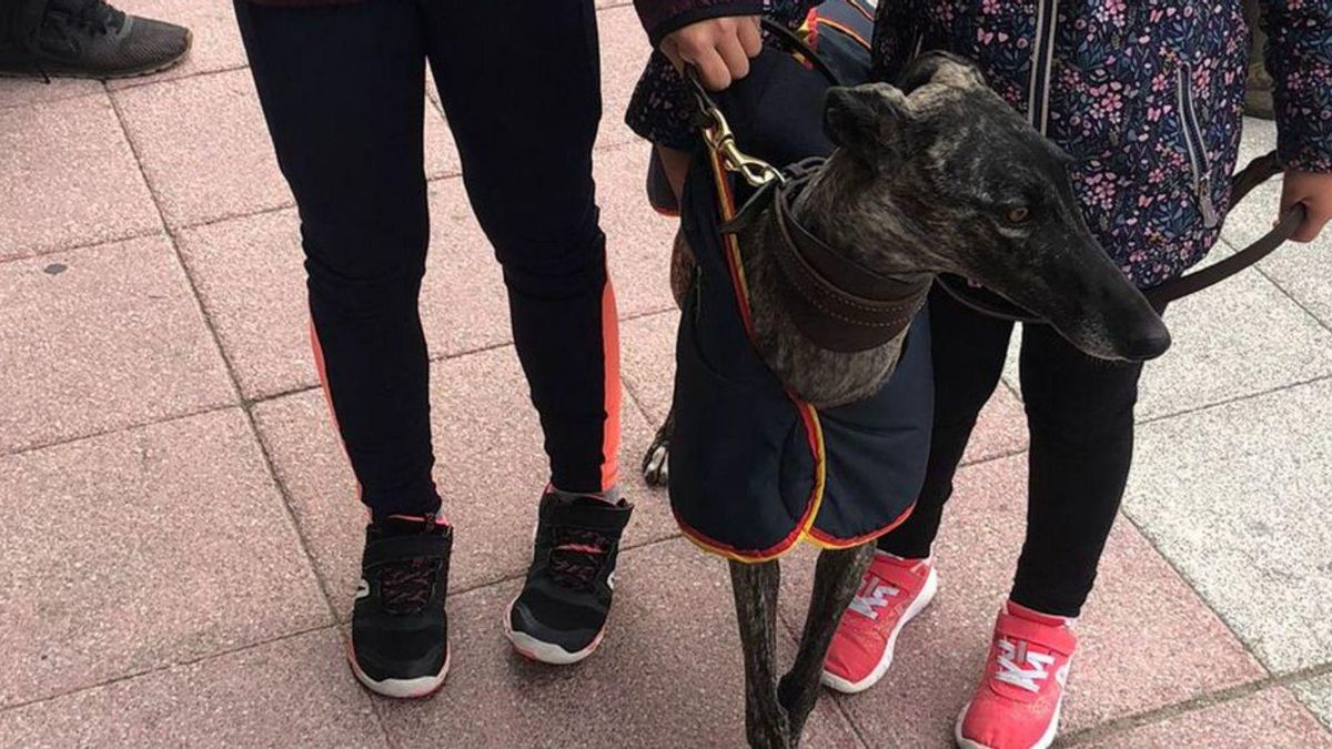 Cuarentena, representante del club Virgen de La Hiniesta. | |  LOZ