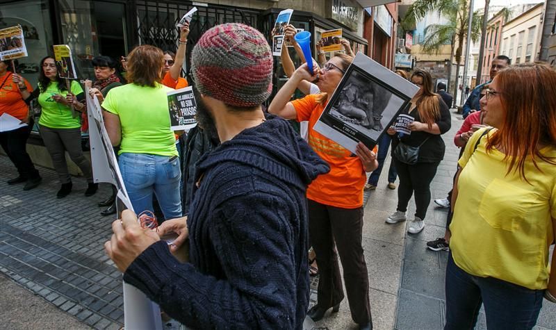 Protesta para prohibir el maltrato de animales