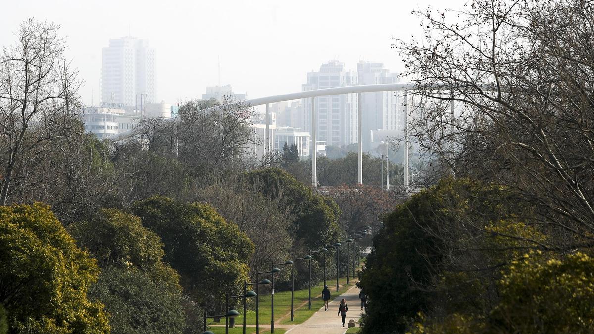 Niebla en Valencia