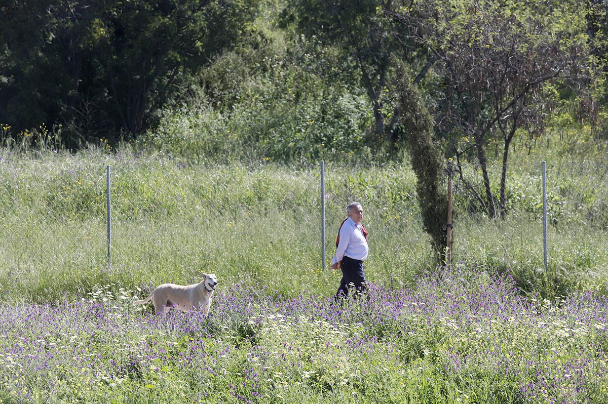 El Parque de Levante de Córdoba avanza en su finalización