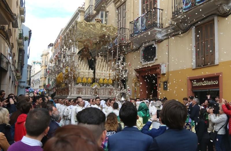 Domingo de Ramos de 2016 | Pollinica