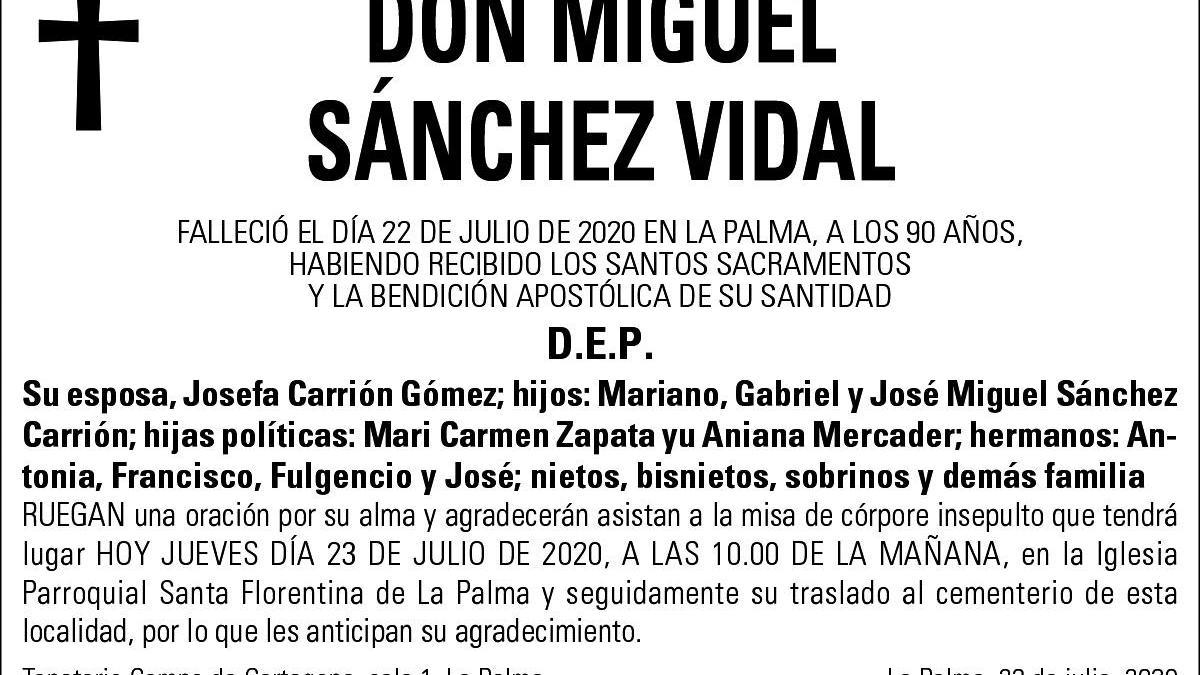 D. Miguel Sánchez Vidal