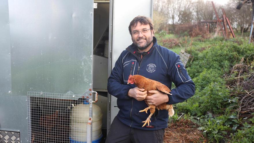 Gallinero último modelo, en Cecebre