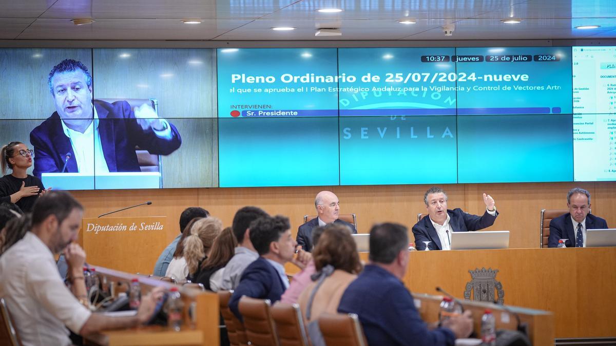 Pleno de la Diputación Provincial del 25 de julio de 2024 en el que se ratifica la decisión de recurrir por vía judicial el plan de la Junta de Andalucía