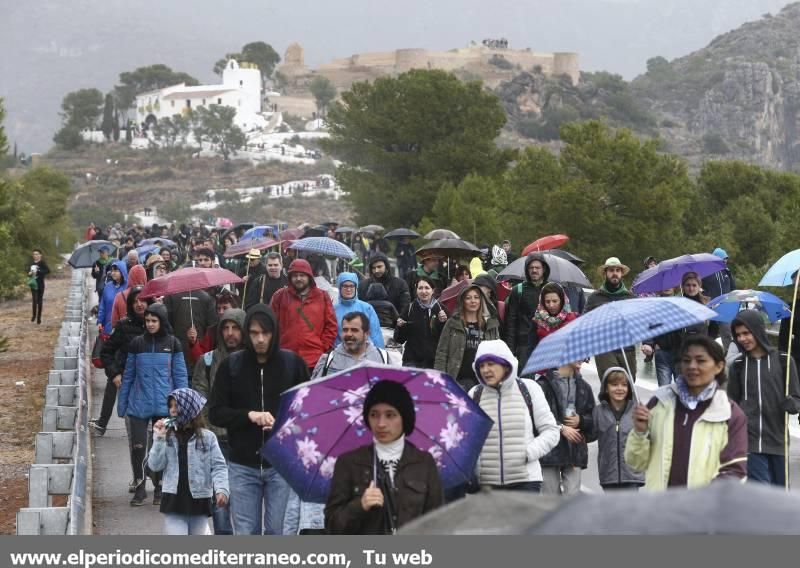 La romeria de 'les canyes' en imágenes