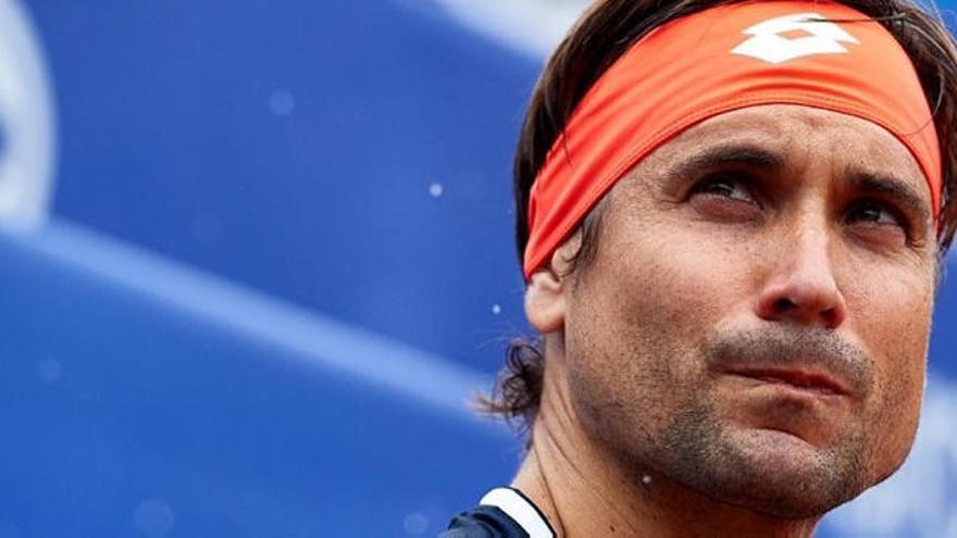 David Ferrer