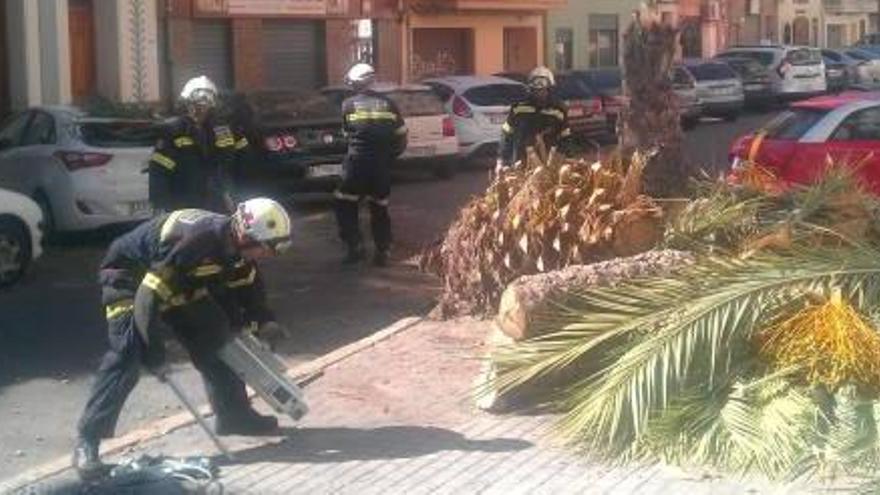 La tercera palmera que cae en 6 días destroza un coche en  el Cabanyal