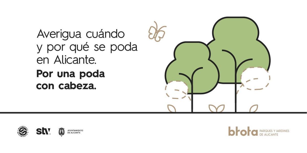 Campaña "Por una poda con cabeza" en la ciudad de Alicante.