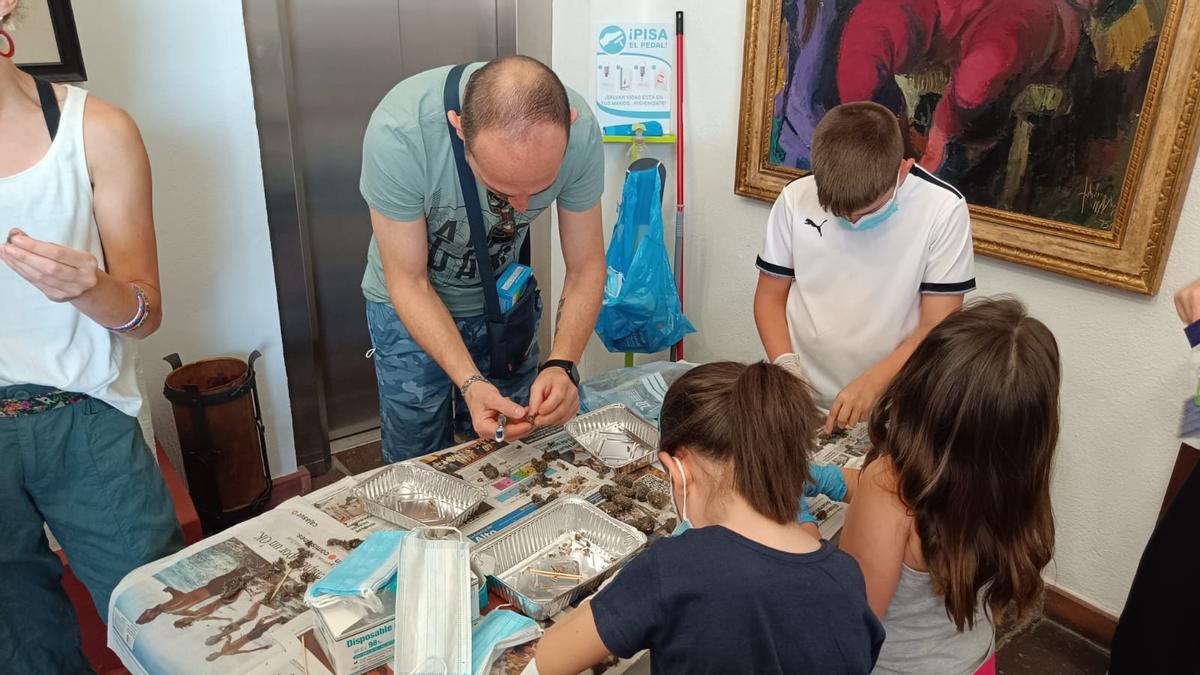 Villa del Río analiza en unas jornadas el papel de la lechuza como controladora de plagas.