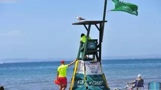 Santa Pola reemplaza de urgencia el socorrismo tras abandonar las playas la empresa