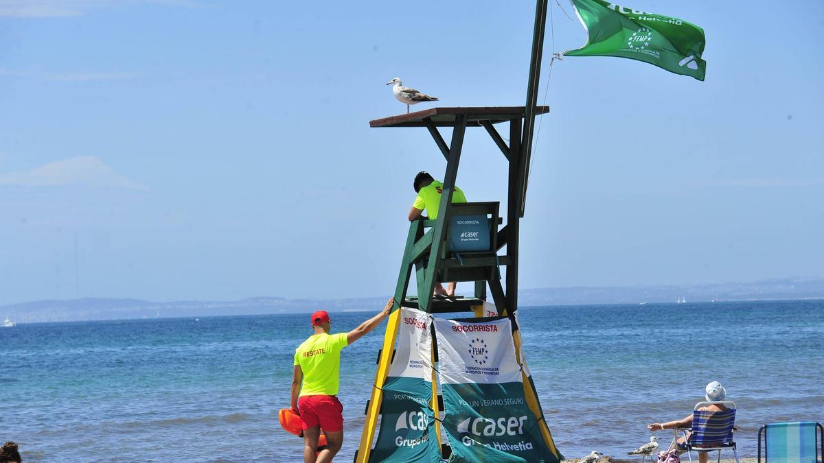 Socorristas en la Playa de Levante de Santa Pola en la pasada temporada estival