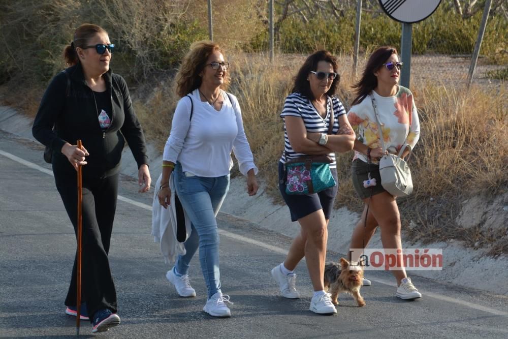 Romería Virgen del Buen Suceso Cieza 2016