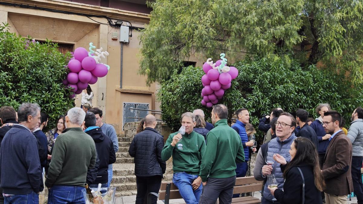 Fotos | La inauguración de la sede de Vi de la Terra Mallorca en Santa Maria, en imágenes