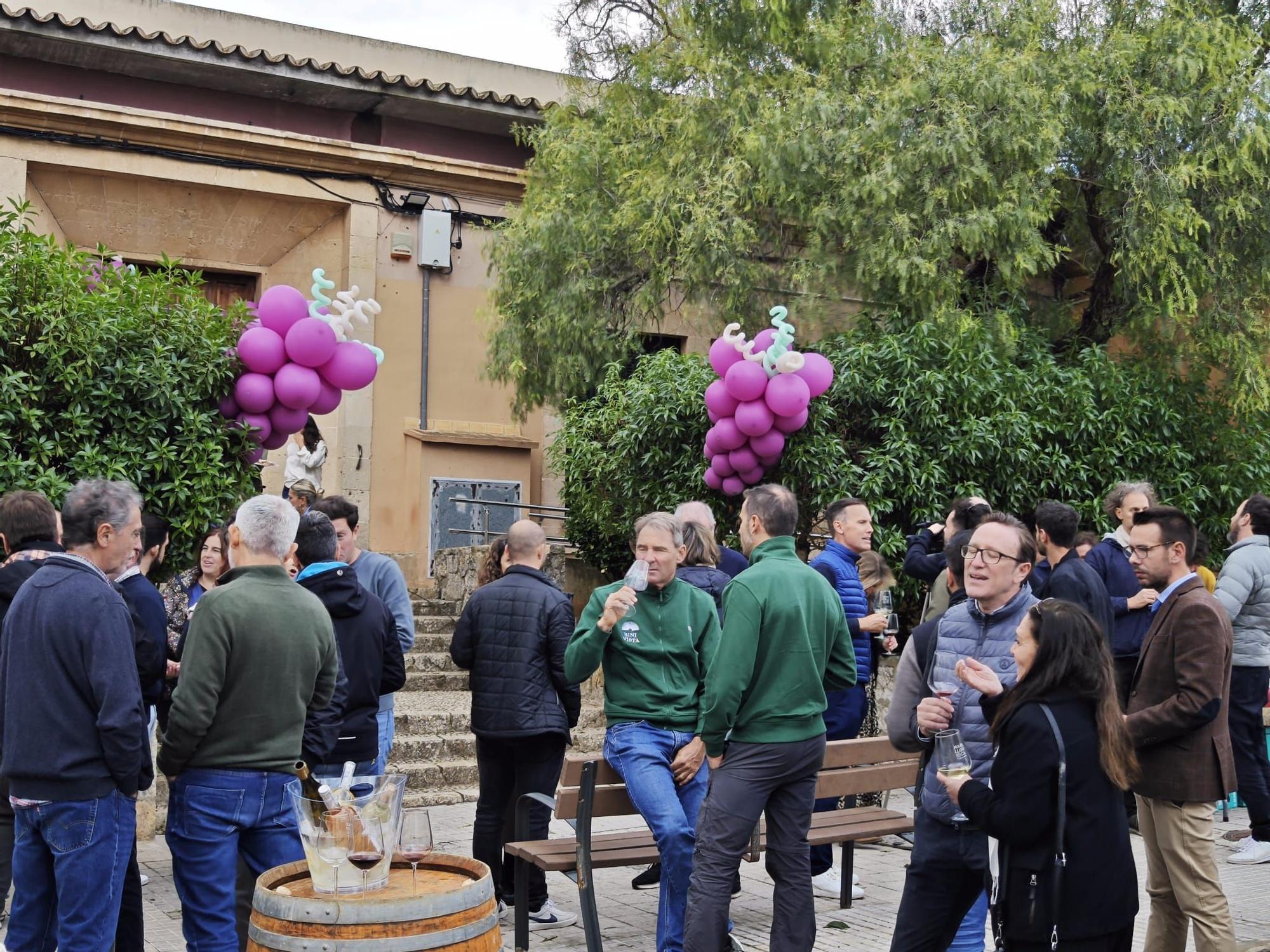 Fotos | La inauguración de la sede de Vi de la Terra Mallorca en Santa Maria, en imágenes