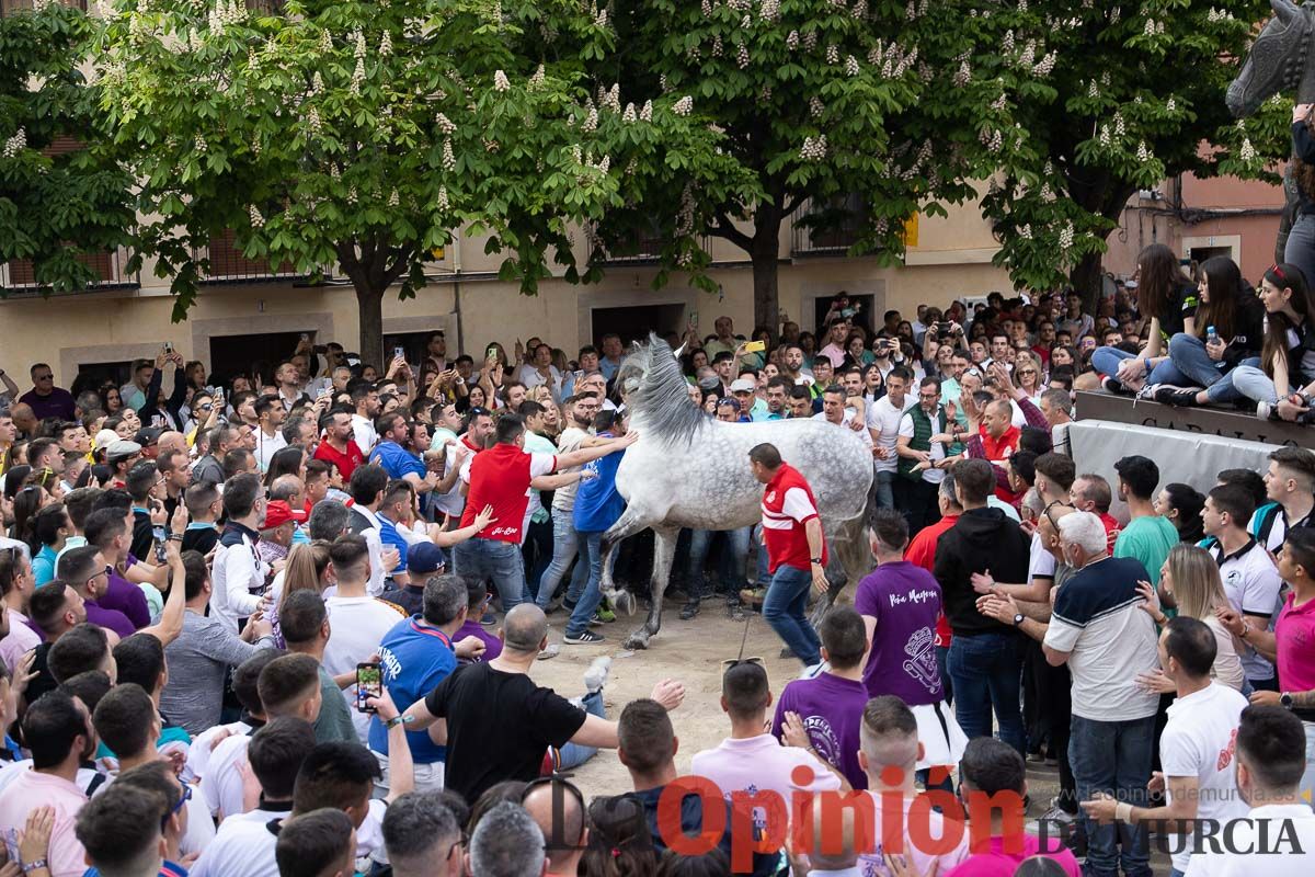 Así ha sido la entrega de premios del concurso morfológico de los Caballos del Vino de Caravaca