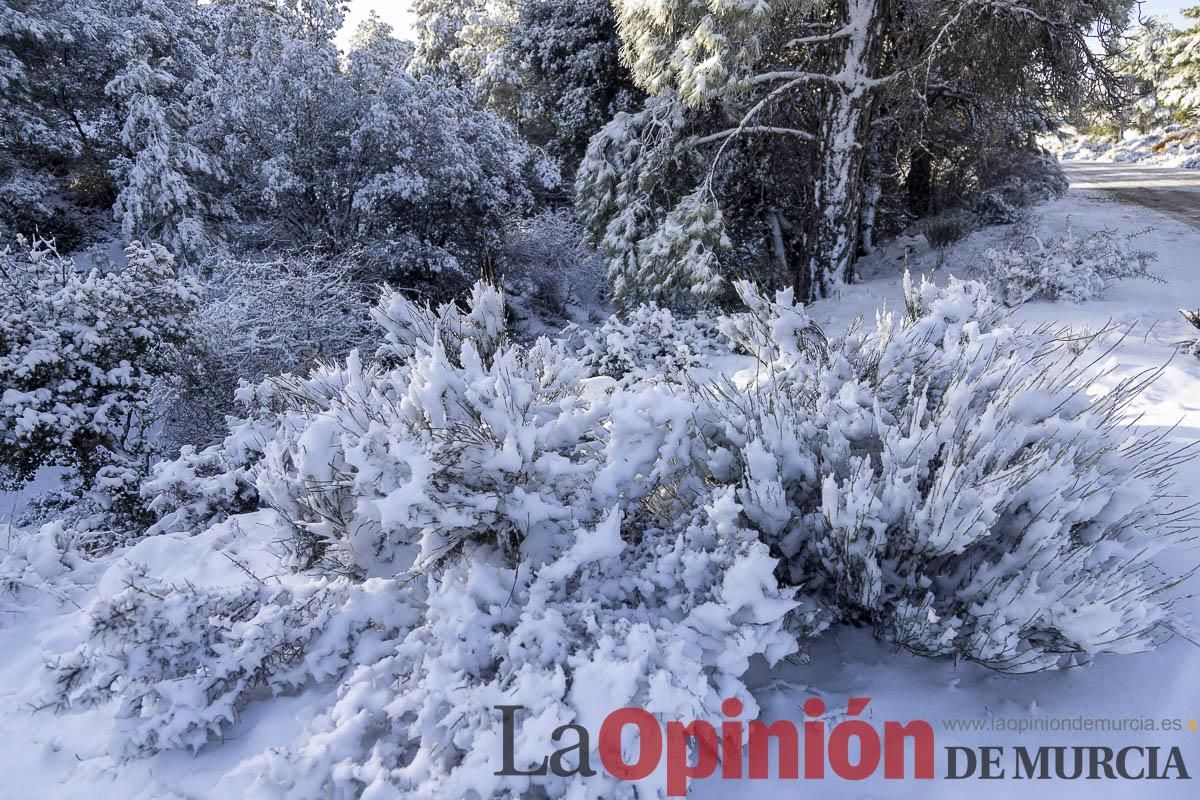 Descubre dónde queda acumulación de nieve en la Región de Murcia