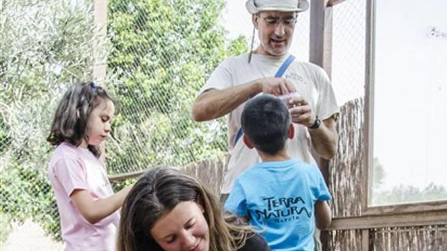 Animales, los terapeutas del verano