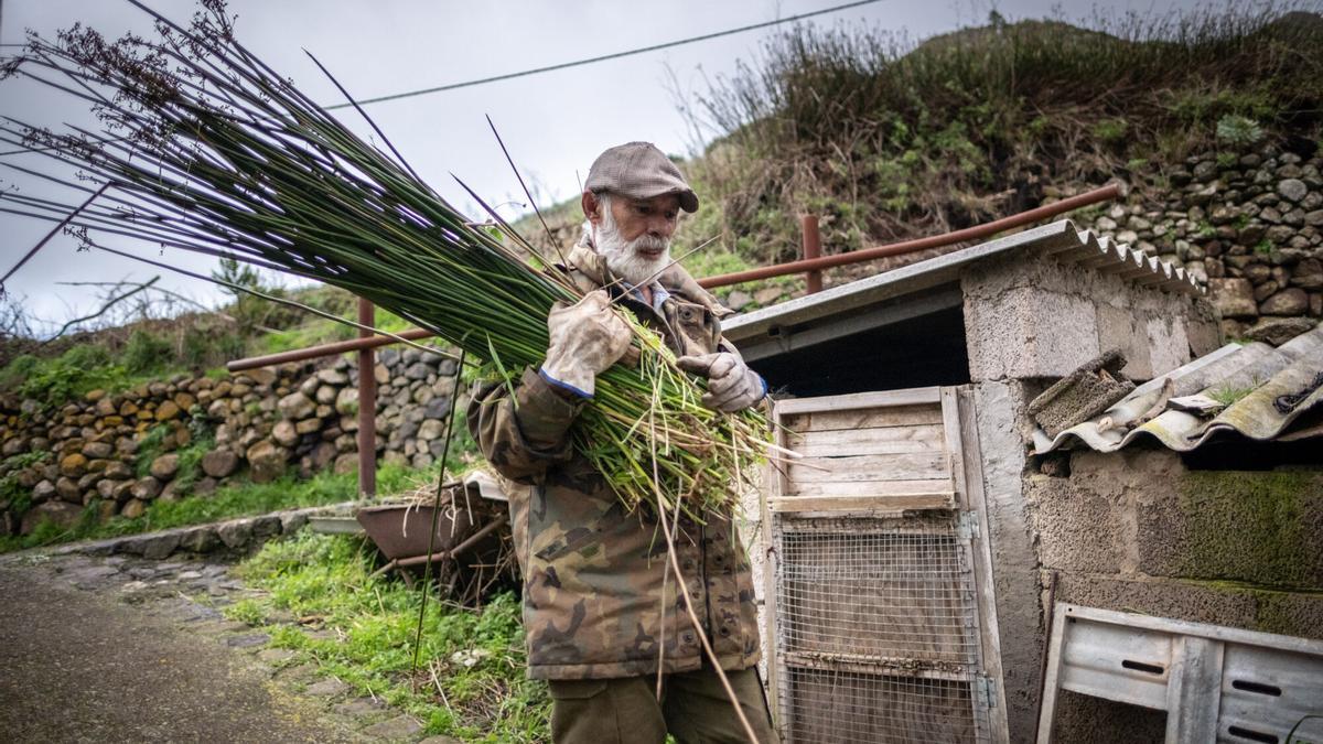 Agricultor trabajando en Buenavista del Norte, un territorio de la Tenerife vaciada.
