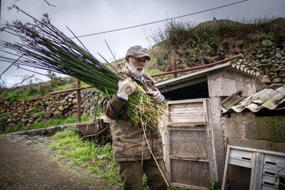 Así es la vida en Las Portelas, localidad de Buenavista del Norte con apenas unos pocos habitantes.