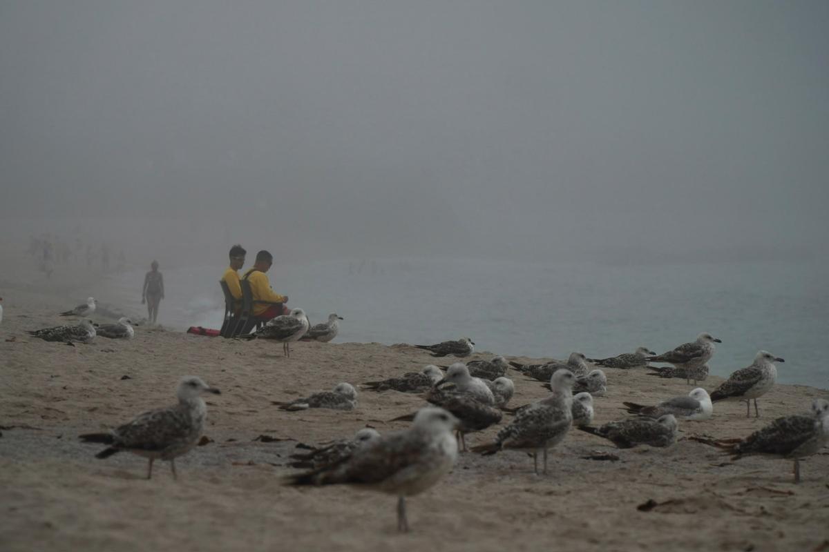 A Coruña quedó sumergida bajo la niebla este lunes A Coruña quedó sumergida bajo la niebla este lunes