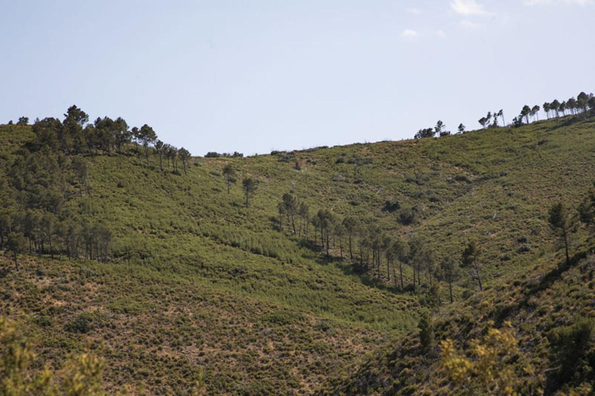 Andilla y Oset: Diez años después del incendio