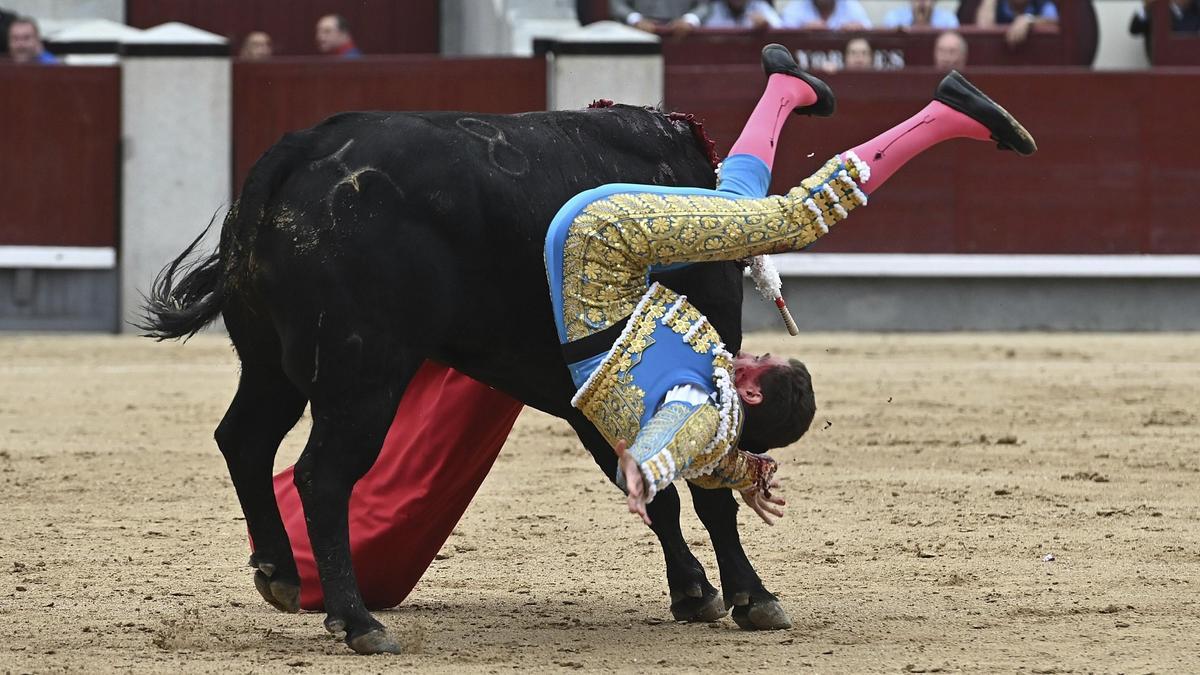 El diestro Ginés Marín sufre un revolcón con su primero de la tarde durante la corrida de la Feria de San Isidro, este domingo, en Las Ventas.