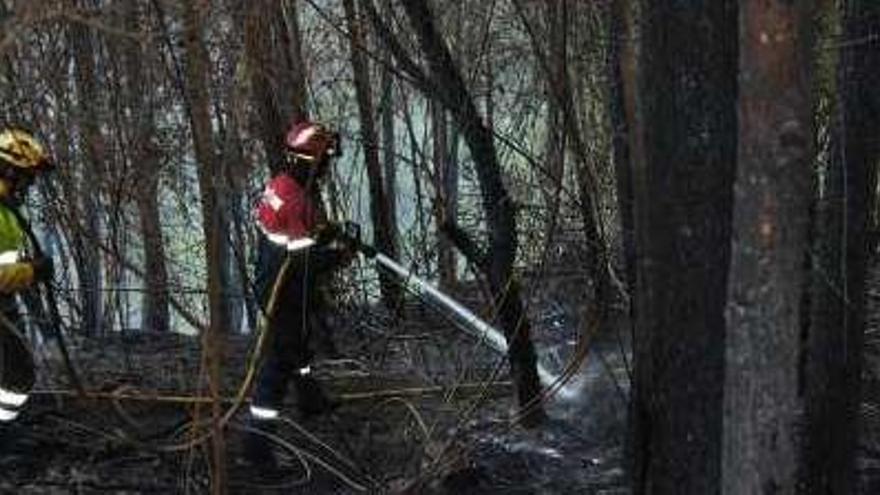 Un bombero refresca el denso bosque calcinado.