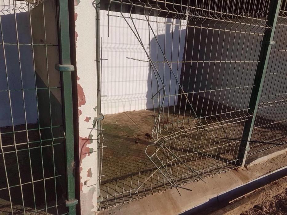 Asaltan un centro de protección animal del Cabildo