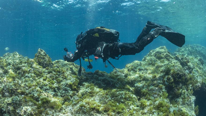 Tabarca quiere ser Reserva de la Biosfera