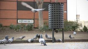 Dispensador de anticonceptivos instalado en la plaza de Can Fabra, en el distrito barcelonés de Can Fabra.