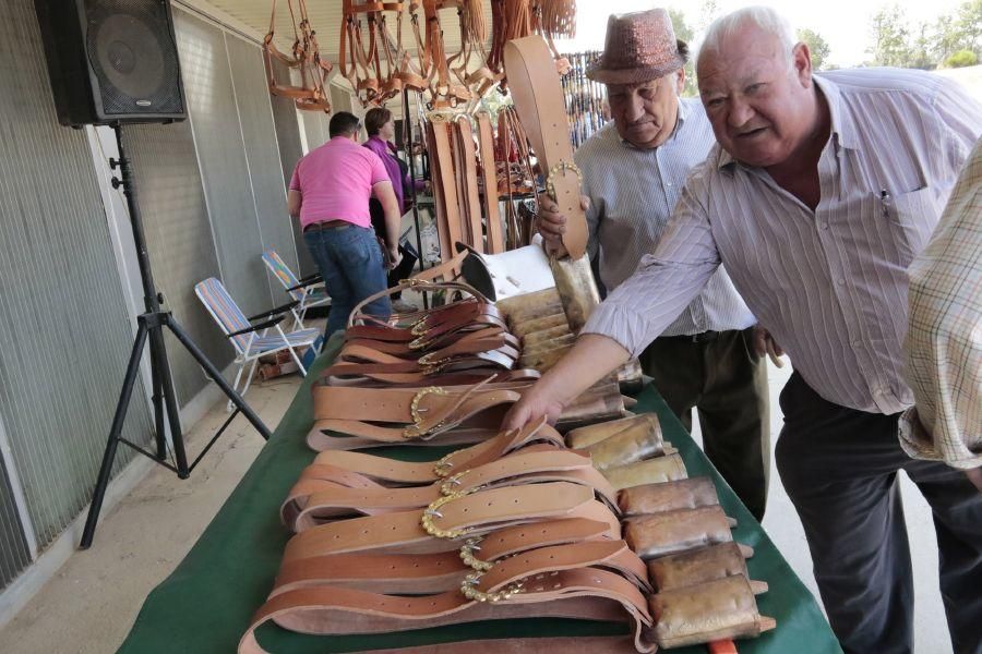 Fiesta de la Trashumancia en San Vitero