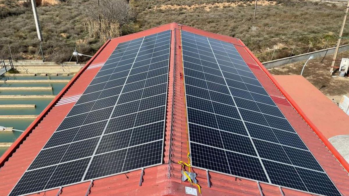 Se han colocado en la Estación de Tratamiento de Agua Potable. | SERVICIO ESPECIAL