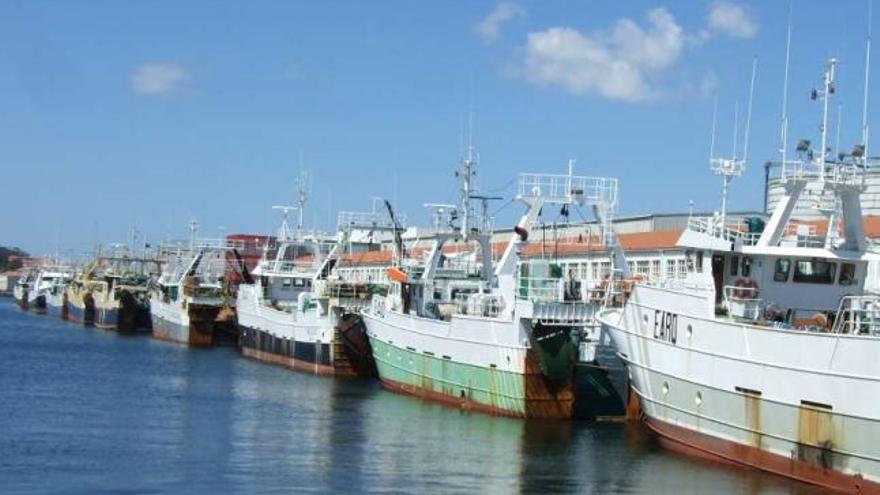 La flota cefalopodera vuelve a Mauritania con dudas sobre la renovación del acuerdo
