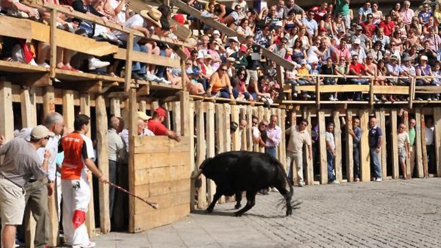 Encierros en Fermoselle