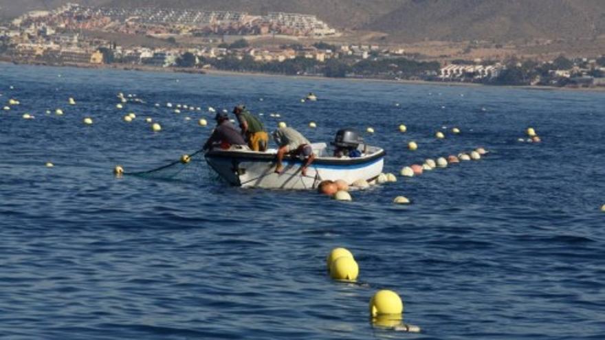 Pesca del atun en Mazarron