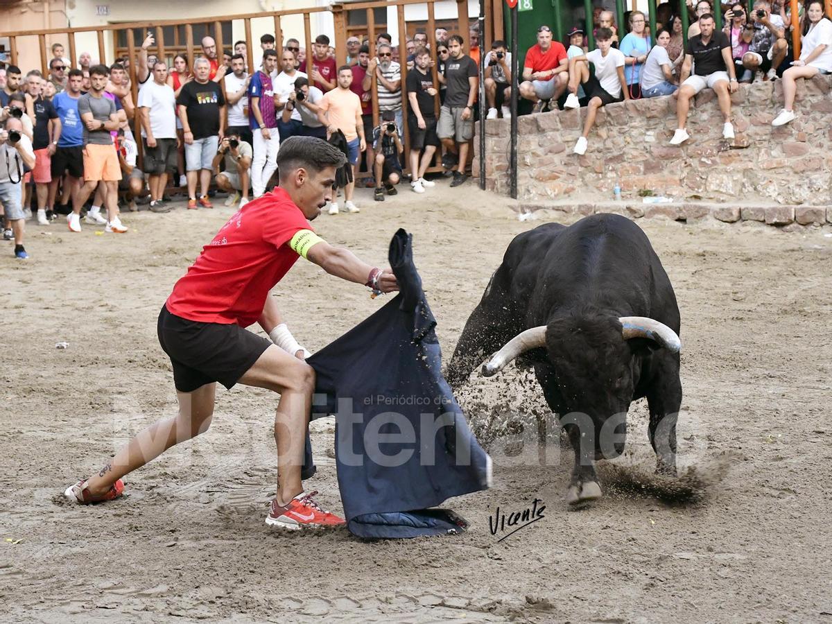 Bous a Vilafamés 2025 Bous a Vilafamés 2025