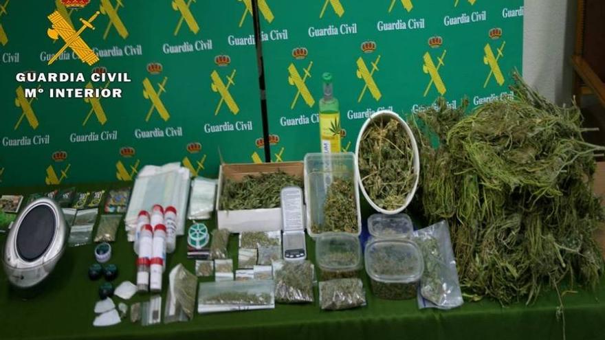 Un hombre detenido con 50 plantas de marihuana en Fuentes de Ebro